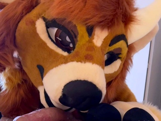 Amateur girlfriend handjob and blowjob with facial